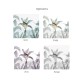 Honpo | Bird's Paradise